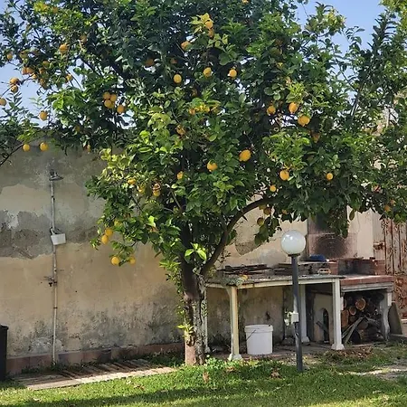 Aule Villa